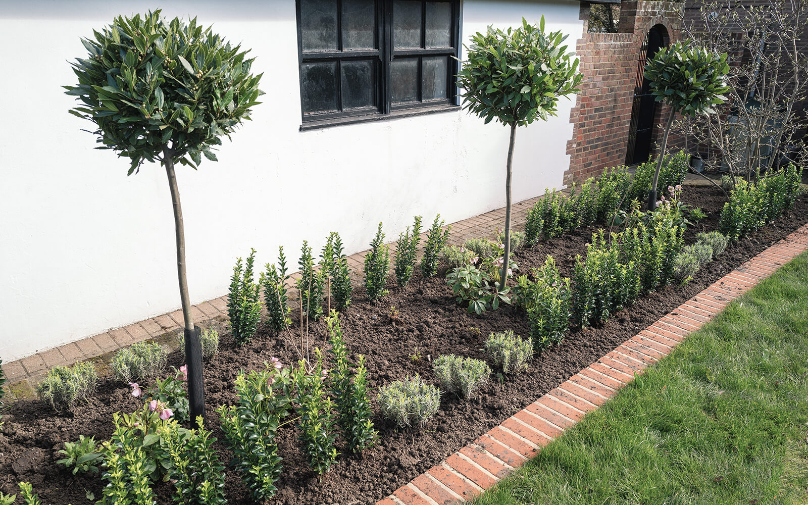 Thistle Landscaping Work
