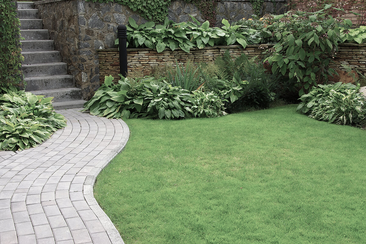 Welcome to Thistle Landscaping